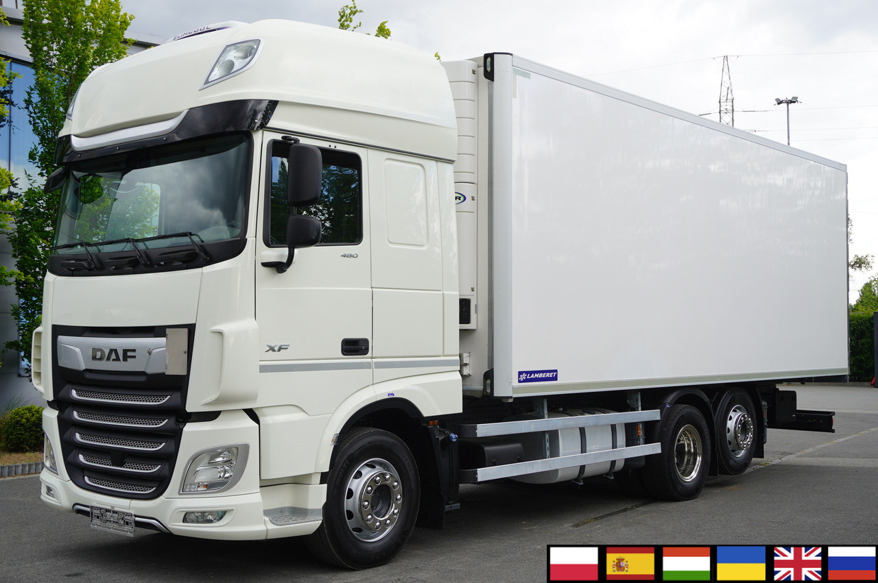 شاحنة ذات مبرد DAF XF 480 EURO 6/ 2021 / Lamberet Refrigerator / Carrier Vector 1550: صورة 1