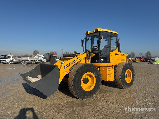 1998 Palazzani PL75 Wheel Loader - اللودر بعجل: صورة 1 1998 Palazzani PL75 Wheel Loader - اللودر بعجل: صورة 1