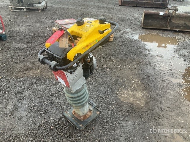 2020 Wacker Neuson BS50-2plus Demolition Breaker Jumping Jack Tamper - آلة الدك: صورة 1 2020 Wacker Neuson BS50-2plus Demolition Breaker Jumping Jack Tamper - آلة الدك: صورة 1