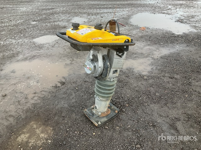 2020 Wacker Neuson BS50-2plus Demolition Breaker Jumping Jack Tamper - آلة الدك: صورة 4 2020 Wacker Neuson BS50-2plus Demolition Breaker Jumping Jack Tamper - آلة الدك: صورة 4