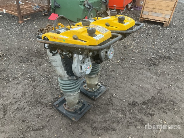 2020 Wacker Neuson BS50-2plus Jumping Jack Tamper Jumping Jack Tamper - آلة الدك: صورة 3 2020 Wacker Neuson BS50-2plus Jumping Jack Tamper Jumping Jack Tamper - آلة الدك: صورة 3