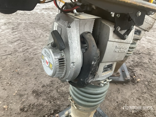 2020 Wacker Neuson BS50-2plus Jumping Jack Tamper Jumping Jack Tamper - آلة الدك: صورة 5 2020 Wacker Neuson BS50-2plus Jumping Jack Tamper Jumping Jack Tamper - آلة الدك: صورة 5