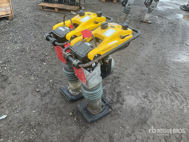 2020 Wacker Neuson BS50-2plus Jumping Jack Tamper Jumping Jack Tamper - آلة الدك: صورة 2 2020 Wacker Neuson BS50-2plus Jumping Jack Tamper Jumping Jack Tamper - آلة الدك: صورة 2