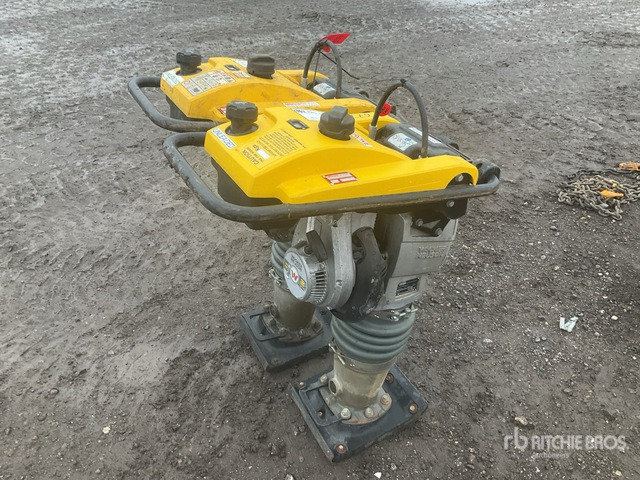 2020 Wacker Neuson BS50-2plus Jumping Jack Tamper Jumping Jack Tamper - آلة الدك: صورة 4 2020 Wacker Neuson BS50-2plus Jumping Jack Tamper Jumping Jack Tamper - آلة الدك: صورة 4