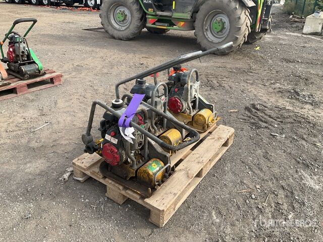 Wacker Neuson Vibratory Plate Compactor - صفيحة هزازة: صورة 4 Wacker Neuson Vibratory Plate Compactor - صفيحة هزازة: صورة 4