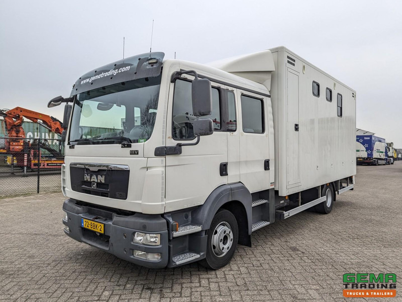 MAN TGL 12.180 4x2 DoKa 7 pers. Euro5 EEV - Paardenwagen 2-Paards - 147.000km! - MARGE - شاحنة نقل خيل: صورة 3 MAN TGL 12.180 4x2 DoKa 7 pers. Euro5 EEV - Paardenwagen 2-Paards - 147.000km! - MARGE - شاحنة نقل خيل: صورة 3