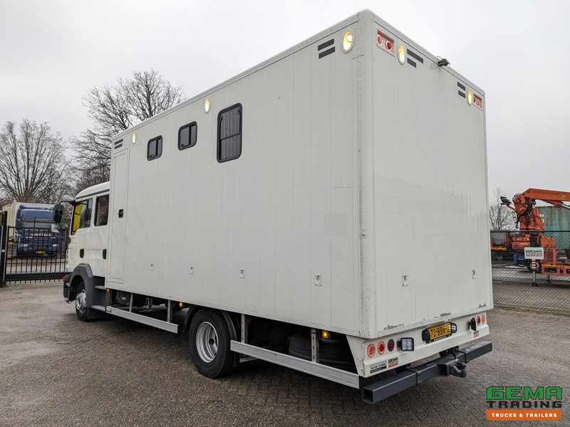 MAN TGL 12.180 4x2 DoKa 7 pers. Euro5 EEV - Paardenwagen 2-Paards - 147.000km! - MARGE - شاحنة نقل خيل: صورة 4 MAN TGL 12.180 4x2 DoKa 7 pers. Euro5 EEV - Paardenwagen 2-Paards - 147.000km! - MARGE - شاحنة نقل خيل: صورة 4