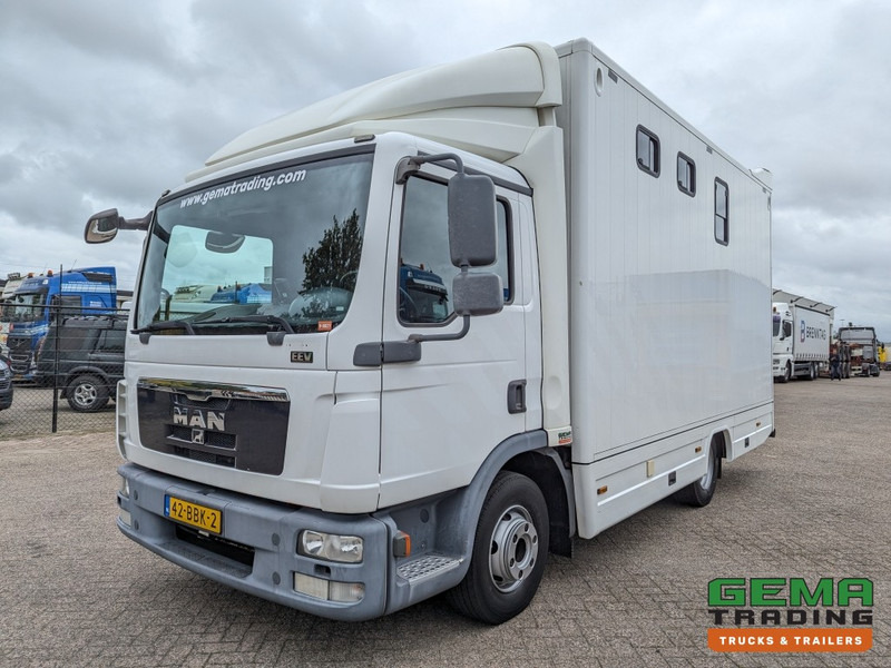 MAN TGL 12.250 4x2 Euro5 EEV RC HorseTruck - 2a3 Paards - 135.000km - MARGE (V821) - شاحنة نقل خيل: صورة 2 MAN TGL 12.250 4x2 Euro5 EEV RC HorseTruck - 2a3 Paards - 135.000km - MARGE (V821) - شاحنة نقل خيل: صورة 2