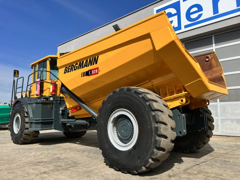 Bergmann 5025 HK (110873) - شاحنة مفصلية: صورة 4 Bergmann 5025 HK (110873) - شاحنة مفصلية: صورة 4