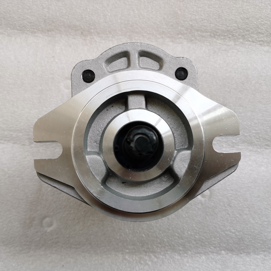 QINGDAO PROMISING Hydraulic Pump CBWA-F314-AL5Φ9 - مضخة هيدروليكية - اللودر بعجل: صورة 3 QINGDAO PROMISING Hydraulic Pump CBWA-F314-AL5Φ9 - مضخة هيدروليكية - اللودر بعجل: صورة 3