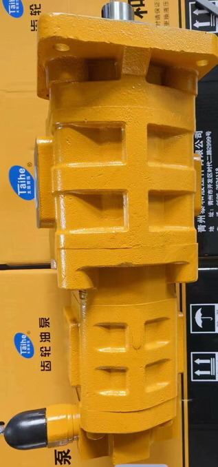 Qingdao Promising Hydraulic Double Gear Pumps Fit China Loader - مضخة هيدروليكية - اللودر بعجل: صورة 4 Qingdao Promising Hydraulic Double Gear Pumps Fit China Loader - مضخة هيدروليكية - اللودر بعجل: صورة 4