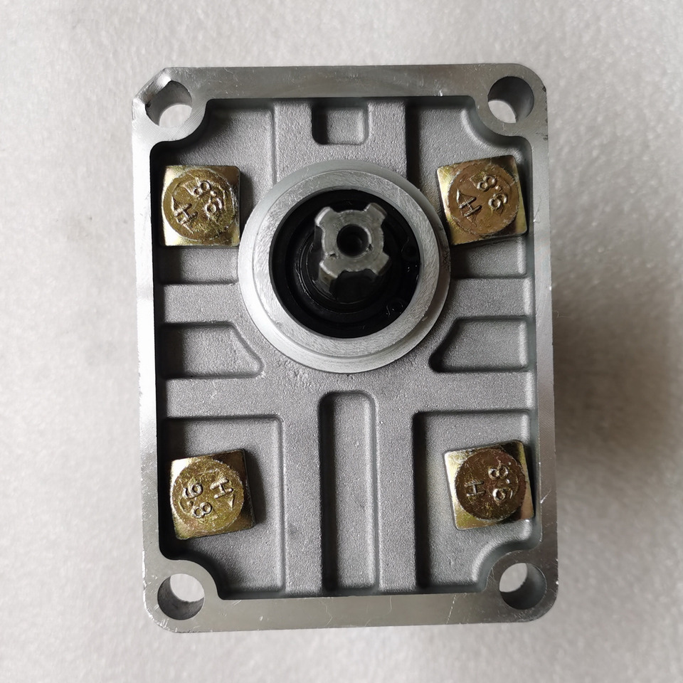 Qingdao Promising Hydraulic Pump CBN-E310BFHL for Chinese Wheel Loader - مضخة هيدروليكية - اللودر بعجل: صورة 5 Qingdao Promising Hydraulic Pump CBN-E310BFHL for Chinese Wheel Loader - مضخة هيدروليكية - اللودر بعجل: صورة 5