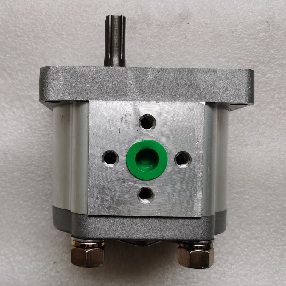 Qingdao Promising Hydraulic Pump CBN-E310BFHL for Chinese Wheel Loader - مضخة هيدروليكية - اللودر بعجل: صورة 3 Qingdao Promising Hydraulic Pump CBN-E310BFHL for Chinese Wheel Loader - مضخة هيدروليكية - اللودر بعجل: صورة 3