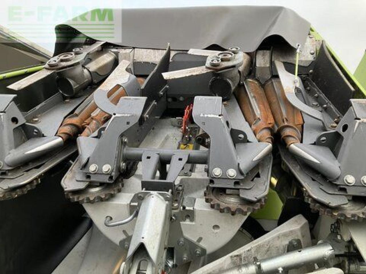 ملحقاتحصادة الأعلاف CLAAS corio 870 fc conspeed: صورة 12