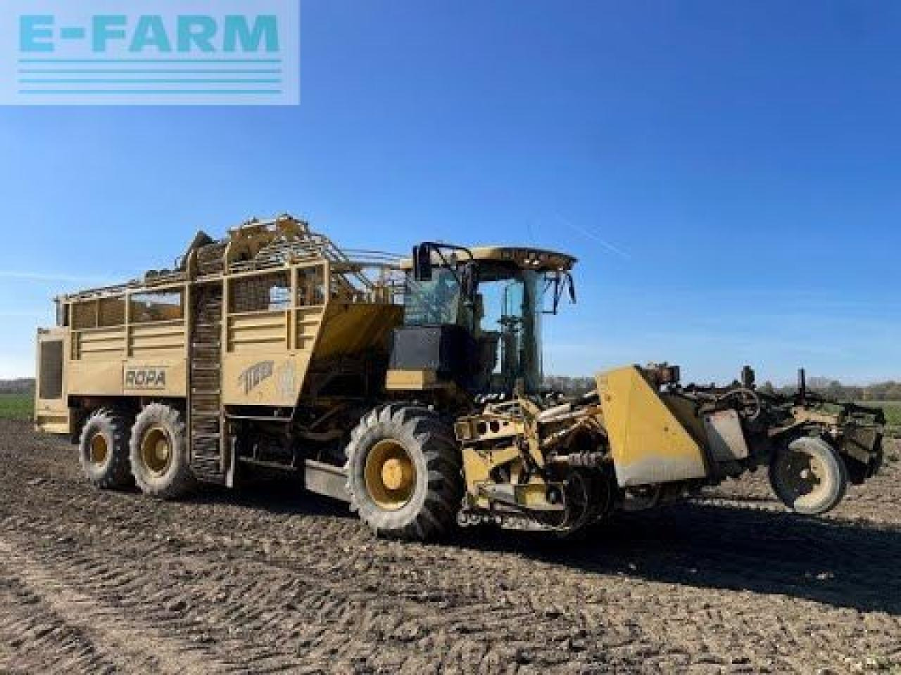 حصادة شمندر Ropa euro tiger: صورة 41