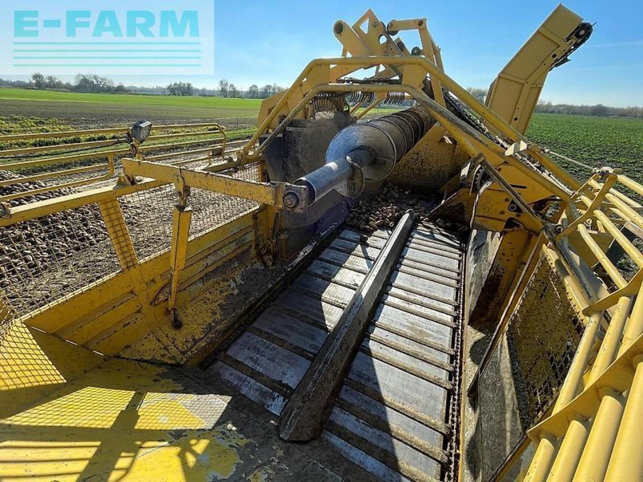 حصادة شمندر Ropa euro tiger: صورة 25