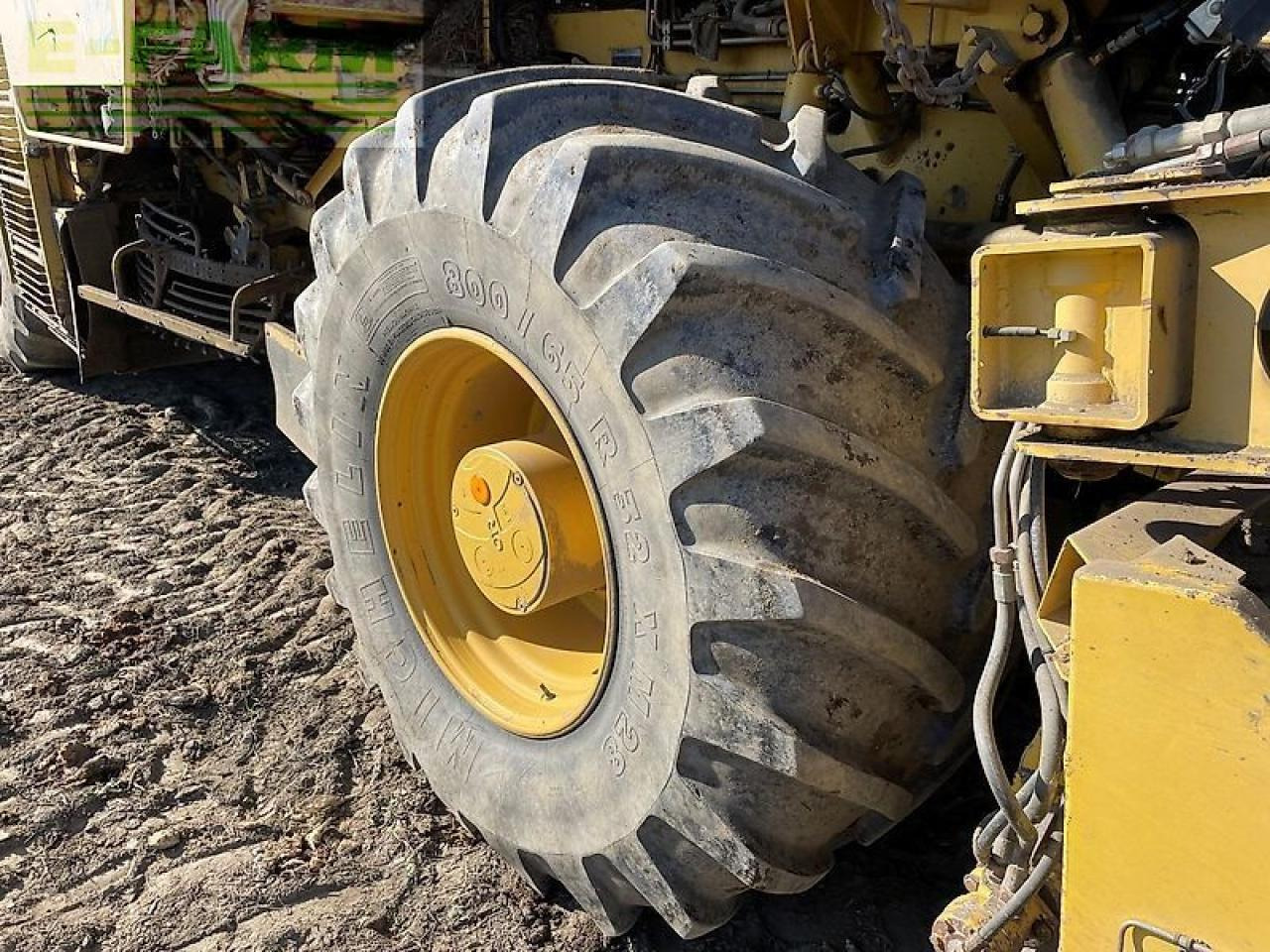 حصادة شمندر Ropa euro tiger: صورة 9