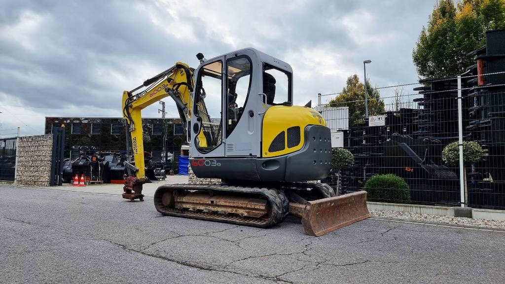 حفار صغير Wacker Neuson Minibagger 6003 RD, Verstellausl., MS08, Powertilt: صورة 12 حفار صغير Wacker Neuson Minibagger 6003 RD, Verstellausl., MS08, Powertilt: صورة 12