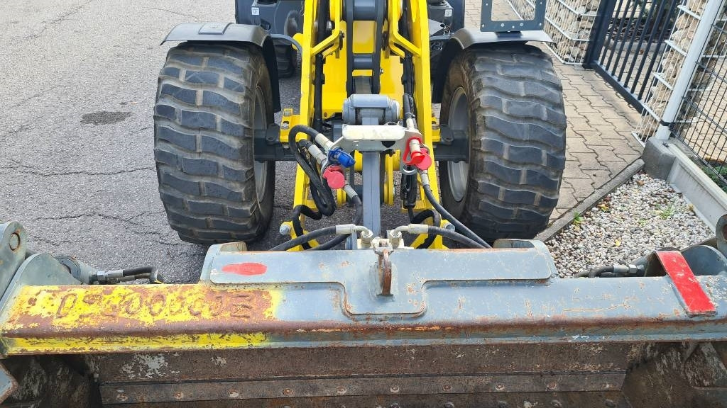 اللودر بعجل Wacker Neuson WL 38, 3. Steuerkreis Zusatzhydraulik, Radlader: صورة 11 اللودر بعجل Wacker Neuson WL 38, 3. Steuerkreis Zusatzhydraulik, Radlader: صورة 11