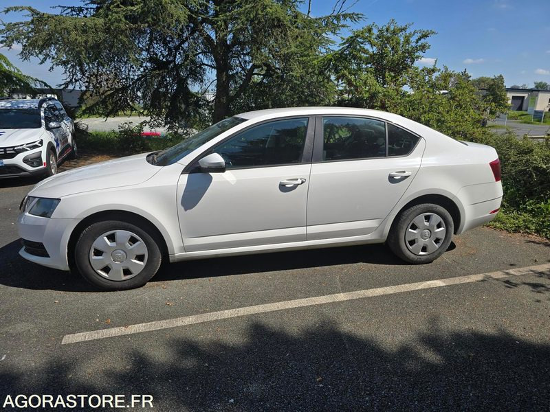 EL-119-BW - Non Roulant - SKODA OCTAVIA - CG INTEGRAL - 250 000 Kms - سيارة: صورة 3 EL-119-BW - Non Roulant - SKODA OCTAVIA - CG INTEGRAL - 250 000 Kms - سيارة: صورة 3