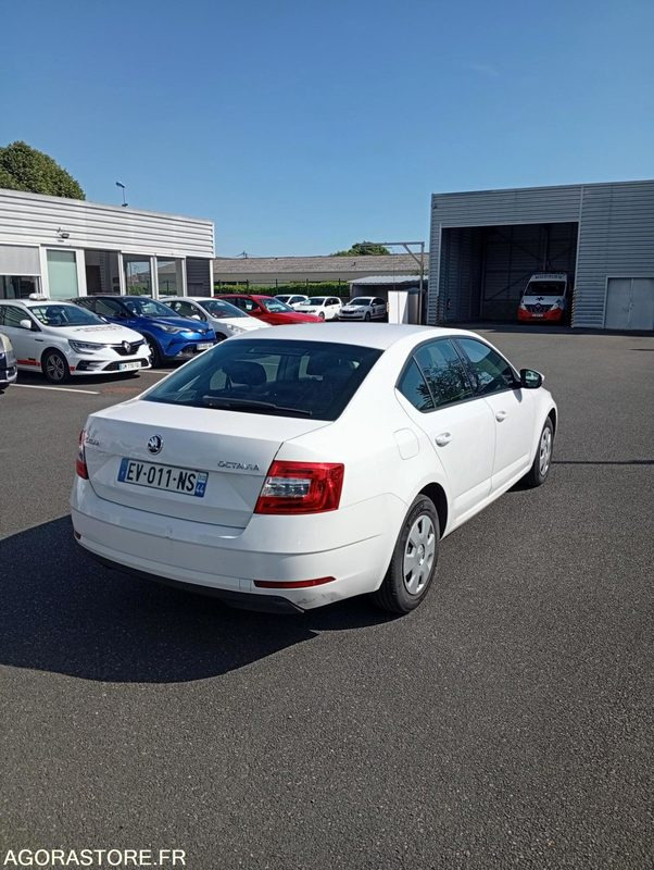 EV-011-NS - Roulant - SKODA OCTAVIA - VP - 389 000 Kms - سيارة: صورة 3 EV-011-NS - Roulant - SKODA OCTAVIA - VP - 389 000 Kms - سيارة: صورة 3