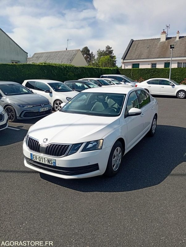 EV-011-NS - Roulant - SKODA OCTAVIA - VP - 389 000 Kms - سيارة: صورة 2 EV-011-NS - Roulant - SKODA OCTAVIA - VP - 389 000 Kms - سيارة: صورة 2