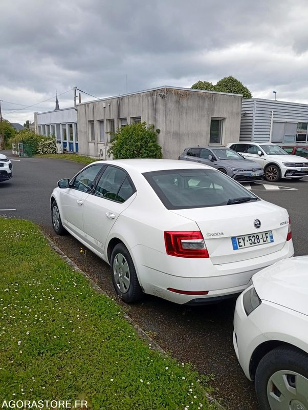 EY-528-LF - Roulant - SKODA OCTAVIA - VP - 421 000 Kms - سيارة: صورة 3 EY-528-LF - Roulant - SKODA OCTAVIA - VP - 421 000 Kms - سيارة: صورة 3