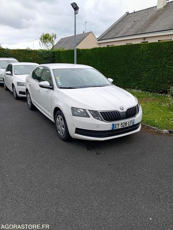 EY-528-LF - Roulant - SKODA OCTAVIA - VP - 421 000 Kms - سيارة: صورة 2 EY-528-LF - Roulant - SKODA OCTAVIA - VP - 421 000 Kms - سيارة: صورة 2