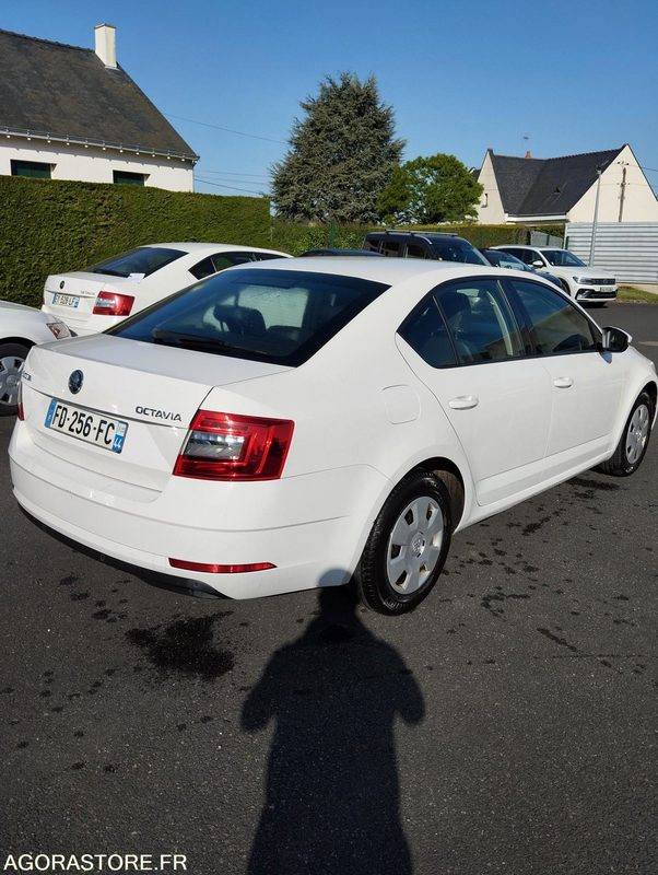 FD-256-FC - Roulant - SKODA OCTAVIA - VP - 417 000 Kms - سيارة: صورة 4 FD-256-FC - Roulant - SKODA OCTAVIA - VP - 417 000 Kms - سيارة: صورة 4