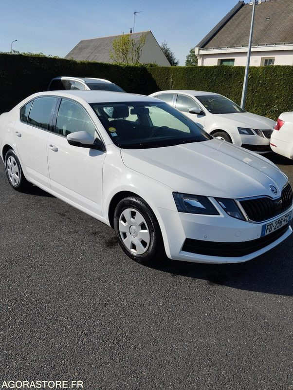FD-256-FC - Roulant - SKODA OCTAVIA - VP - 417 000 Kms - سيارة: صورة 1 FD-256-FC - Roulant - SKODA OCTAVIA - VP - 417 000 Kms - سيارة: صورة 1