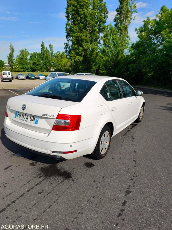 FG-014-DN - Roulant - SKODA OCTAVIA - VP - 354 084 Kms - سيارة: صورة 4 FG-014-DN - Roulant - SKODA OCTAVIA - VP - 354 084 Kms - سيارة: صورة 4