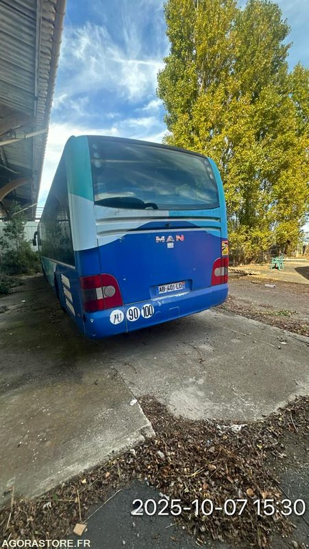 MAN LION'S REGIO N°096055 - حافلة مدرسية: صورة 3 MAN LION'S REGIO N°096055 - حافلة مدرسية: صورة 3
