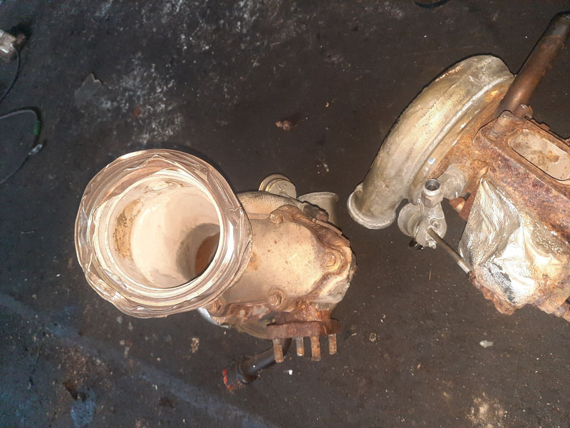 BORGWARNER man - تربو: صورة 4 BORGWARNER man - تربو: صورة 4