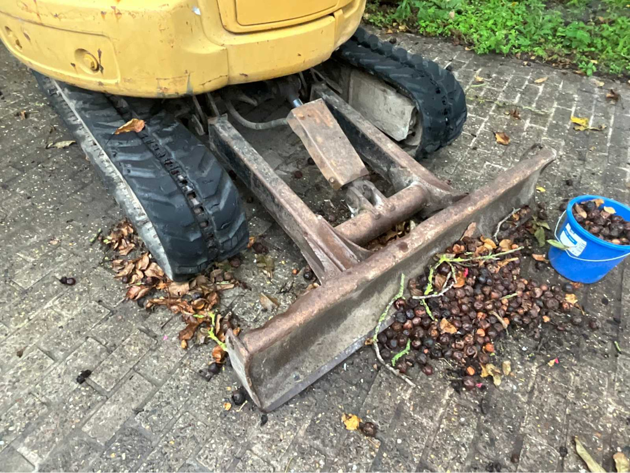 Caterpillar 303C CR - حفار صغير: صورة 5 Caterpillar 303C CR - حفار صغير: صورة 5