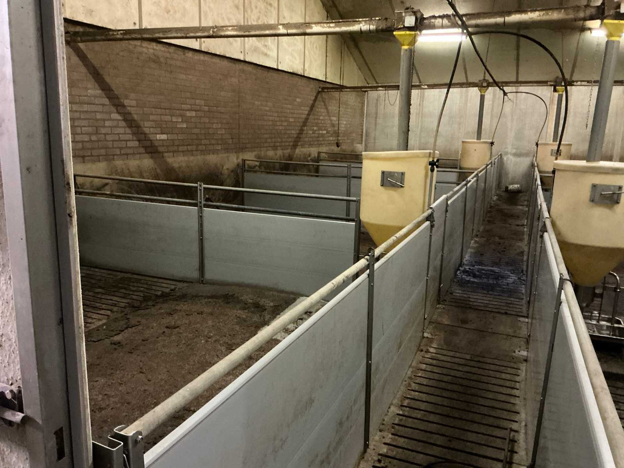 Complete barn equipment for fattening pigs - معدات الماشية: صورة 2 Complete barn equipment for fattening pigs - معدات الماشية: صورة 2