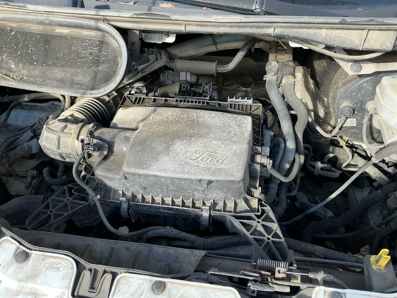 FORD TRANSIT VAN - شاحنة توصيل مغلقة: صورة 5 FORD TRANSIT VAN - شاحنة توصيل مغلقة: صورة 5