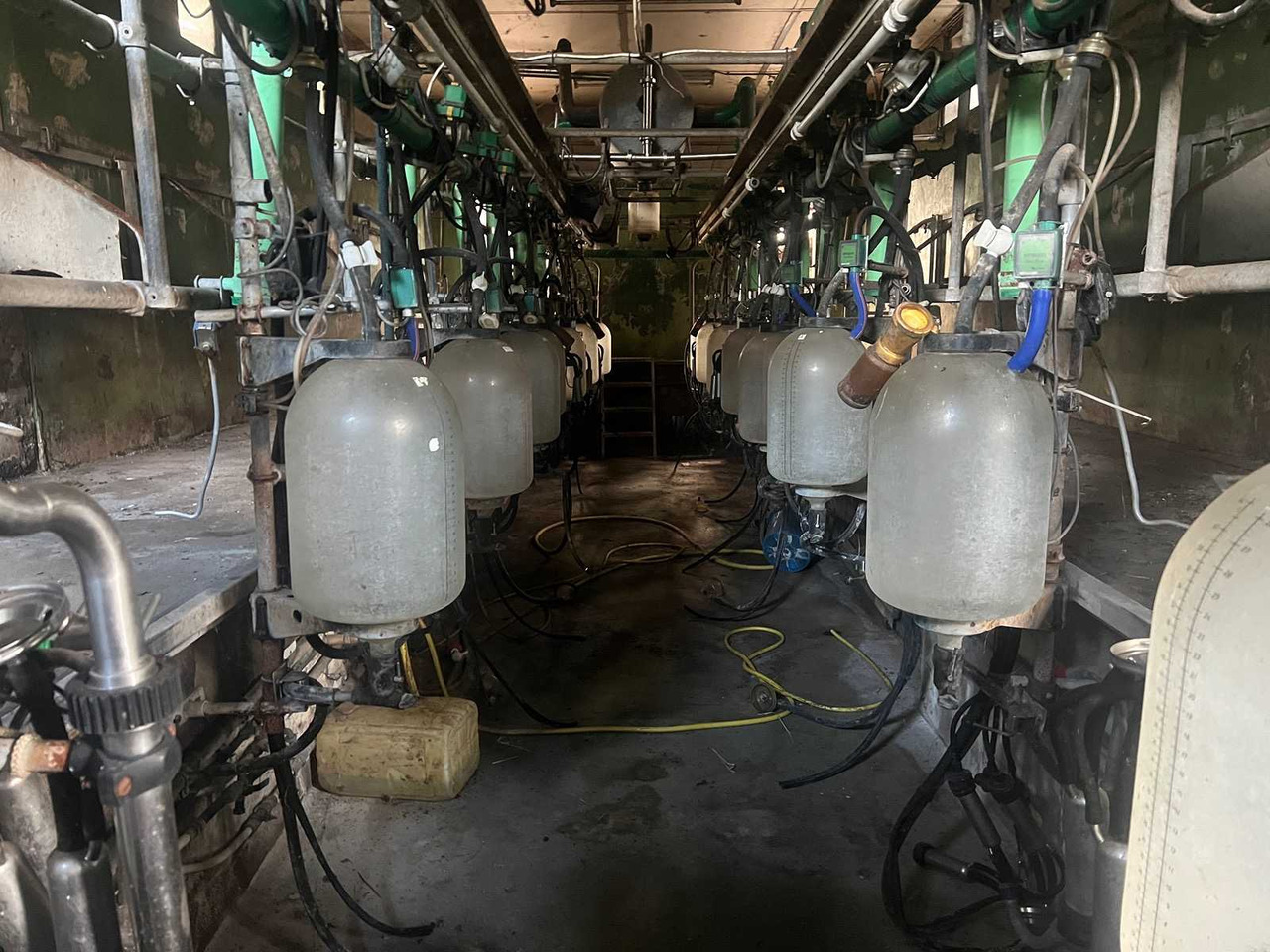 Manus/DeLaval - آلات الحلب: صورة 2 Manus/DeLaval - آلات الحلب: صورة 2