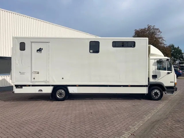 DAF LF 45.130 CLEAN HORSES NL-TRUCK - شاحنة نقل خيل: صورة 5 DAF LF 45.130 CLEAN HORSES NL-TRUCK - شاحنة نقل خيل: صورة 5