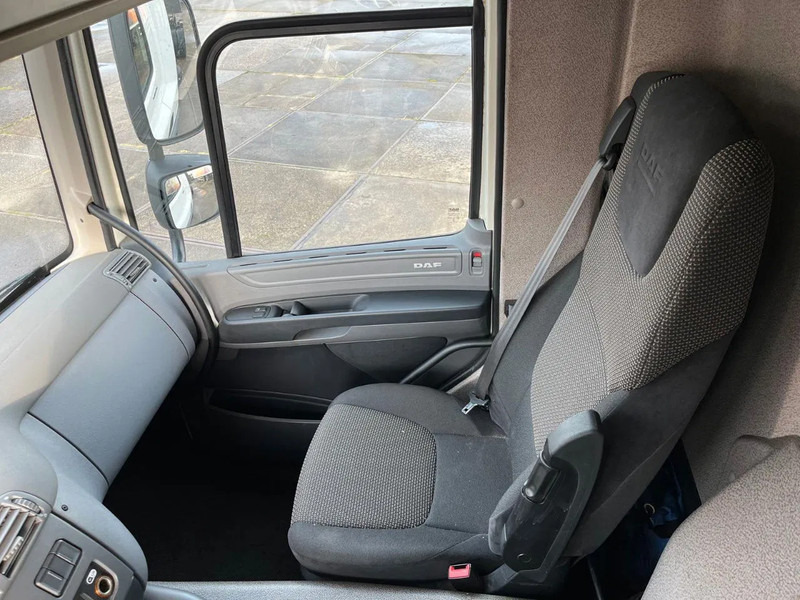 تأجير DAF CF 260 CF 260 FA CHASSIS CABINE EURO 6 DAF CF 260 CF 260 FA CHASSIS CABINE EURO 6: صورة 13
