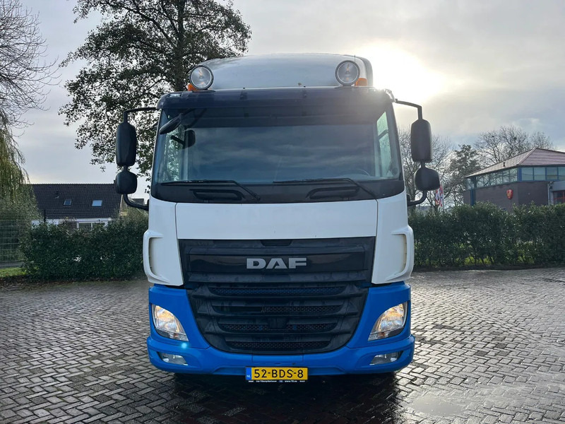 DAF CF 440 FT EURO 6 WITHOUT BULK COMPRESSOR - رأس تريلا: صورة 3 DAF CF 440 FT EURO 6 WITHOUT BULK COMPRESSOR - رأس تريلا: صورة 3