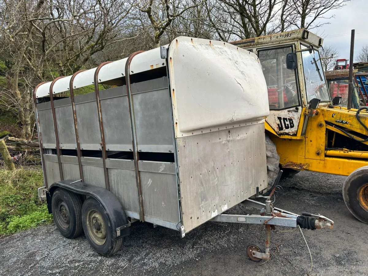 10X6 Ivor Williams - مقطورة للماشية: صورة 1 10X6 Ivor Williams - مقطورة للماشية: صورة 1