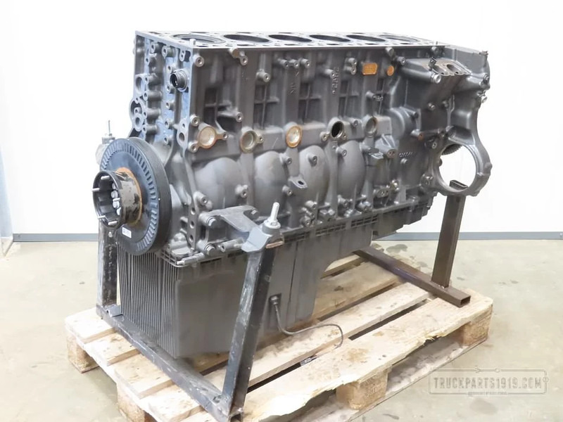 DAF Engines & Parts Motorblok DAF MX11 - محرك - شاحنة: صورة 1 DAF Engines & Parts Motorblok DAF MX11 - محرك - شاحنة: صورة 1