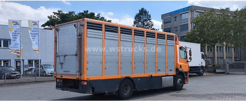 DAF CF 400 - Animal transporter - شاحنة ماشية: صورة 4 DAF CF 400 - Animal transporter - شاحنة ماشية: صورة 4
