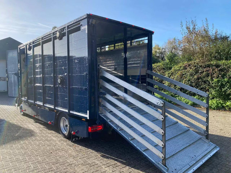 DAF LF 280 - شاحنة ماشية: صورة 5 DAF LF 280 - شاحنة ماشية: صورة 5