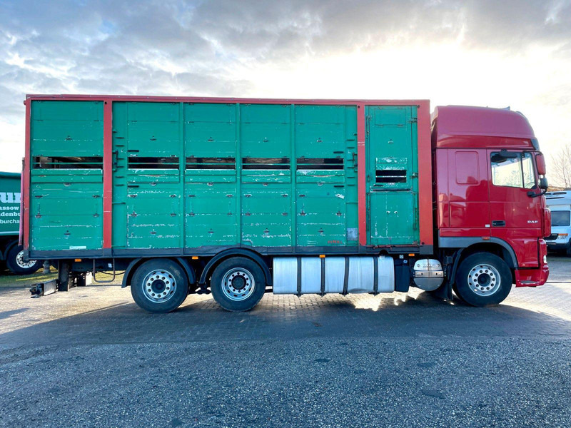 DAF XF 105.460 2-Stock Finkl Viehaufbau / Lenkachs - شاحنة ماشية: صورة 4 DAF XF 105.460 2-Stock Finkl Viehaufbau / Lenkachs - شاحنة ماشية: صورة 4