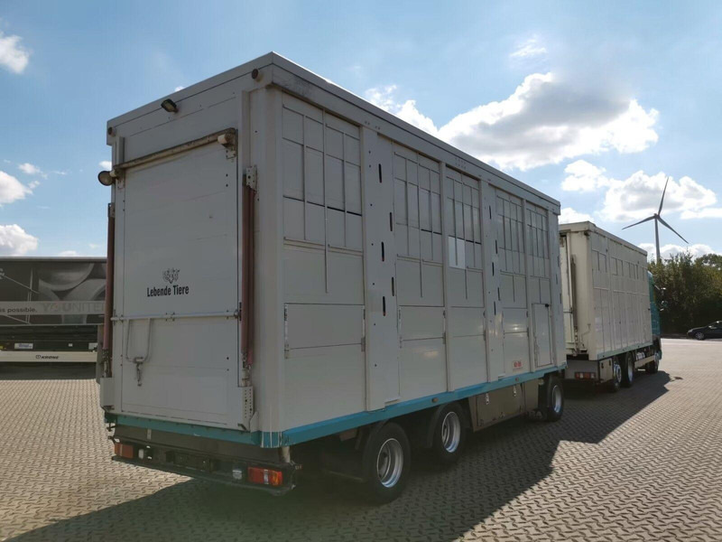 DAF XF 105.460 - Animal transporter + trailer - شاحنة ماشية: صورة 3 DAF XF 105.460 - Animal transporter + trailer - شاحنة ماشية: صورة 3