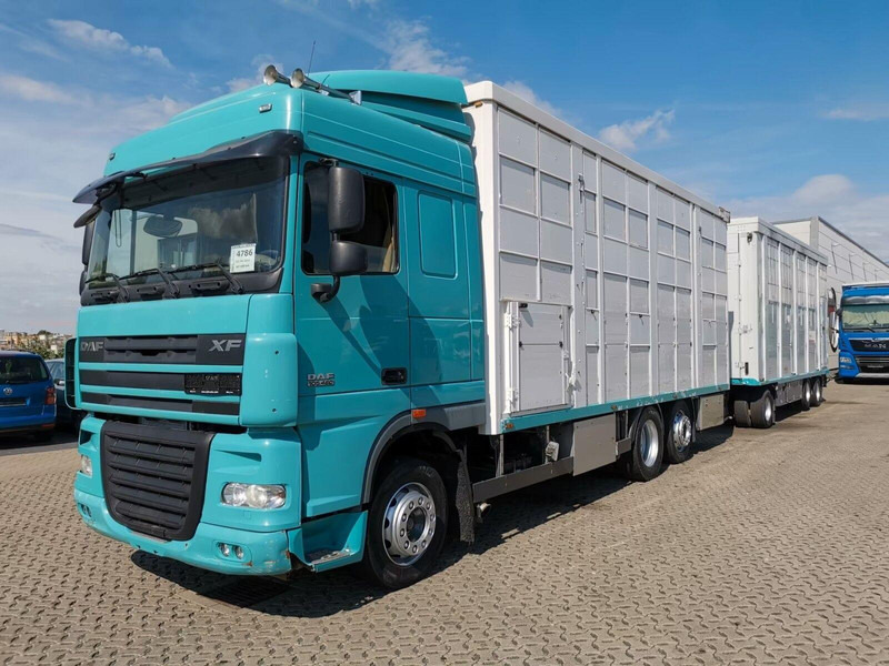 DAF XF 105.460 - Animal transporter + trailer - شاحنة ماشية: صورة 1 DAF XF 105.460 - Animal transporter + trailer - شاحنة ماشية: صورة 1