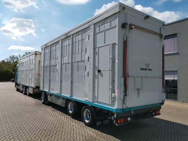 DAF XF 105.460 - Animal transporter + trailer - شاحنة ماشية: صورة 4 DAF XF 105.460 - Animal transporter + trailer - شاحنة ماشية: صورة 4