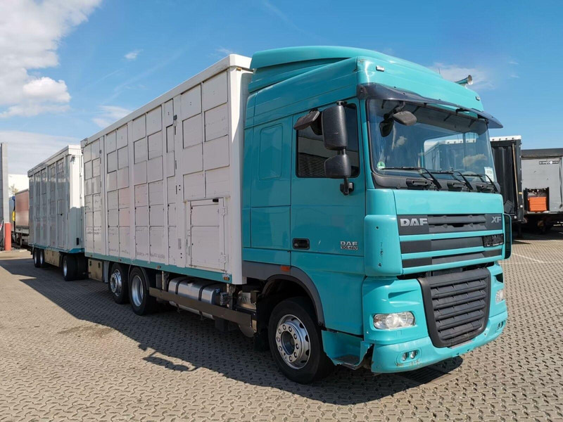 DAF XF 105.460 - Animal transporter + trailer - شاحنة ماشية: صورة 2 DAF XF 105.460 - Animal transporter + trailer - شاحنة ماشية: صورة 2
