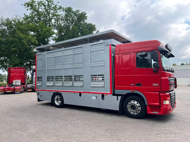 DAF XF 106.460 - Finkl Animal transporter - شاحنة ماشية: صورة 2 DAF XF 106.460 - Finkl Animal transporter - شاحنة ماشية: صورة 2